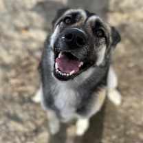 Thumbnail photo of Pheobe #2