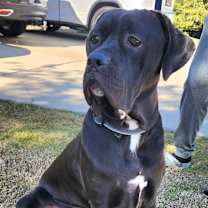 Thumbnail photo of Barklee #2