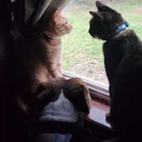 Thumbnail photo of Hercules #2