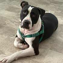 Thumbnail photo of Jerold #1