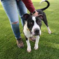 Thumbnail photo of Jerold #2