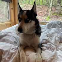 Thumbnail photo of Luffy #4