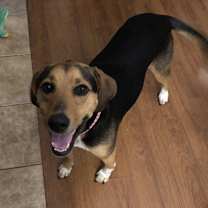 Thumbnail photo of Liza #2