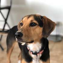 Thumbnail photo of Liza #3