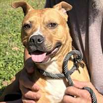 Thumbnail photo of Sienna #1