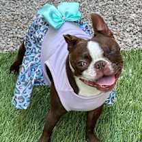 Thumbnail photo of Bottega #2