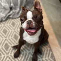 Thumbnail photo of Bottega #1