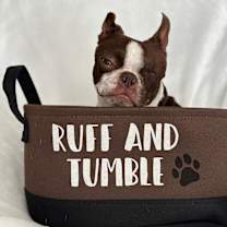 Thumbnail photo of Bottega #4