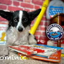 Thumbnail photo of Dominic #3