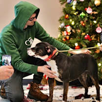 Thumbnail photo of Penny #2