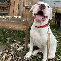 Thumbnail photo of Simon #1