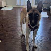 Thumbnail photo of Winter CP #1