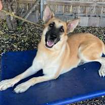 Thumbnail photo of Patty #2