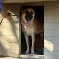 Thumbnail photo of Patty #3