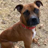 Thumbnail photo of Lexi #1