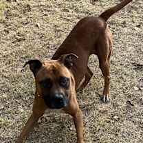 Thumbnail photo of Lexi #2