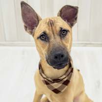 Thumbnail photo of Canyon #2