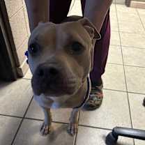 Thumbnail photo of NANI #3