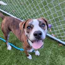 Thumbnail photo of Summit #1