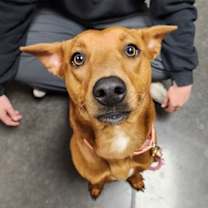 Thumbnail photo of Sabito #1