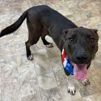 Thumbnail photo of Rector #3