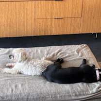 Thumbnail photo of Etta #4