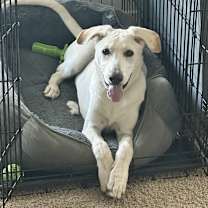 Thumbnail photo of Angel #2