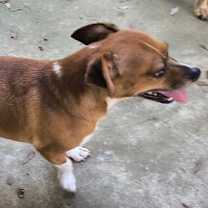 Thumbnail photo of Wesley #3