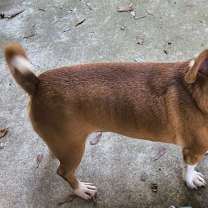 Thumbnail photo of Wesley #4