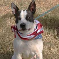 Thumbnail photo of Buddy #1