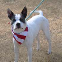 Thumbnail photo of Buddy #3