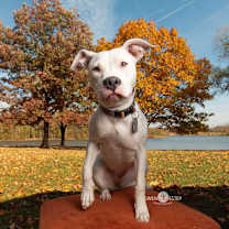 Thumbnail photo of Jacee #3