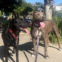 Thumbnail photo of Lovely Cookie #2