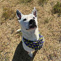 Thumbnail photo of Graham #2