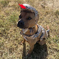 Thumbnail photo of Rubble #1
