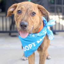 Thumbnail photo of Drake #1