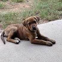 Thumbnail photo of Drake #2