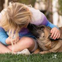 Thumbnail photo of Harrah #2