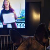 Thumbnail photo of Harrah #3