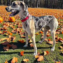 Thumbnail photo of Esmerelda #1