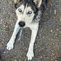 Thumbnail photo of Caitlin #1