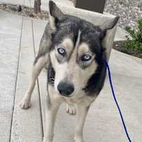 Thumbnail photo of Caitlin #3