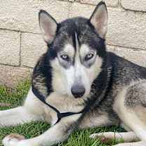 Thumbnail photo of Caitlin #2