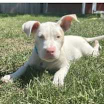 Thumbnail photo of Hope (MS) NEW PIC! #2