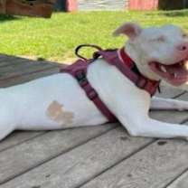 Thumbnail photo of Hope (MS) NEW PIC! #1