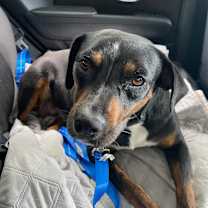Thumbnail photo of Shirley #1