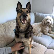 Thumbnail photo of Gilmore #3