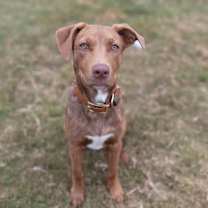 Thumbnail photo of Theo #1