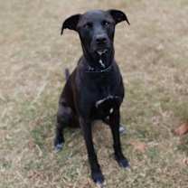 Thumbnail photo of Max #1