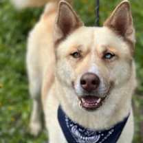 Thumbnail photo of Sitka #1